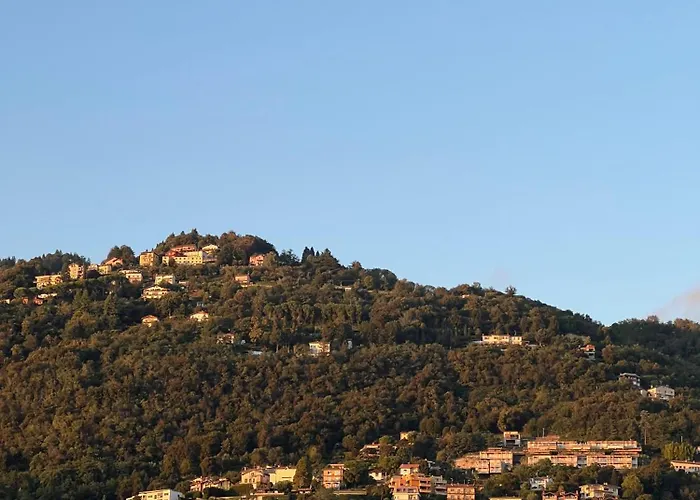 White Noise - Private コモ